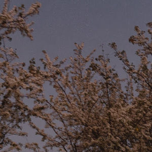 Meet your Posher, Mitali